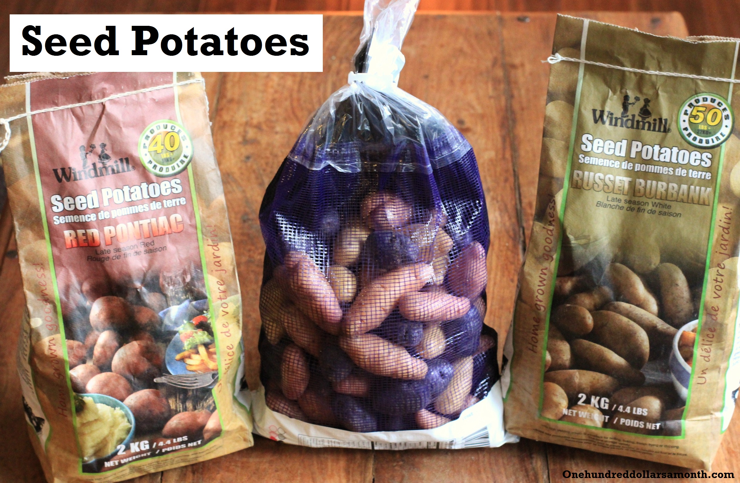 How to Grow Your Own Food: Seed Potatoes