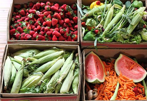 How To Get Free Food Week #2