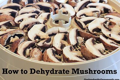 How to Dehydrate Mushrooms
