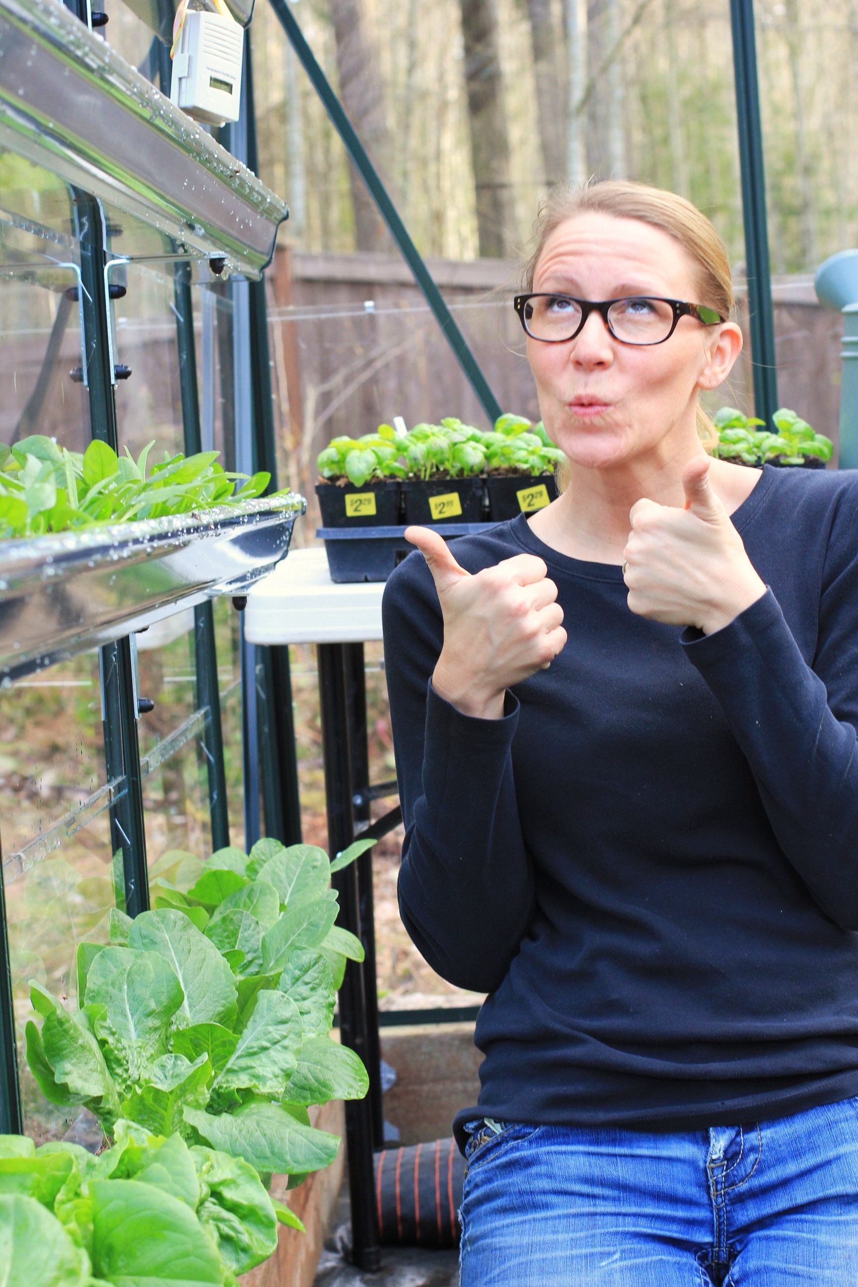 How to Grow Your Own Food In a Greenhouse