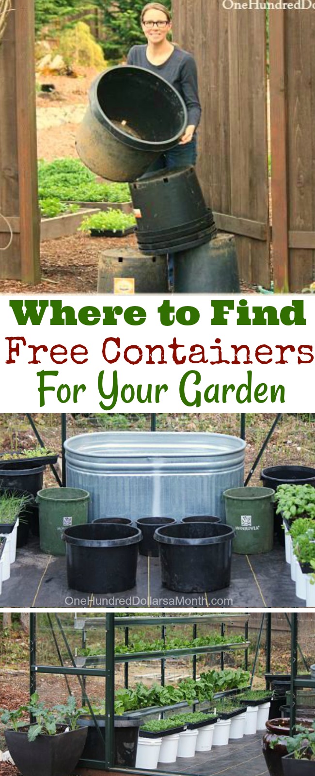 How to Find Free Containers For Your Garden