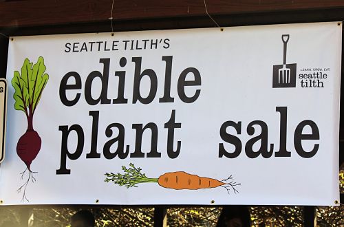 Seattle Tilth Plant Sale