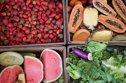 Free Food Week # 3 Reclaimed Food: Show and Tell