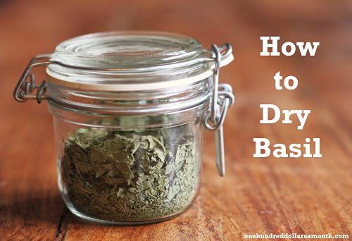 How to Dry Basil
