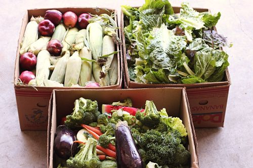 Free Food Week # 4 Reclaimed Food: Show and Tell