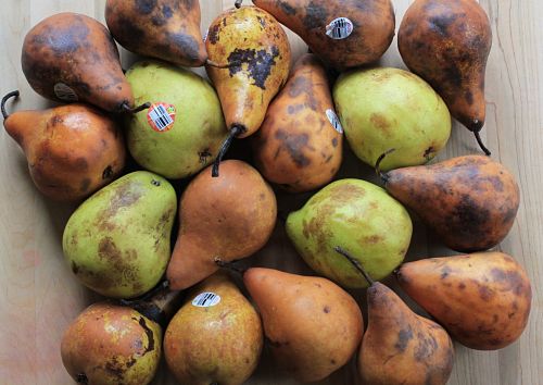 Free Food Week # 5 Reclaimed Food: Show and Tell