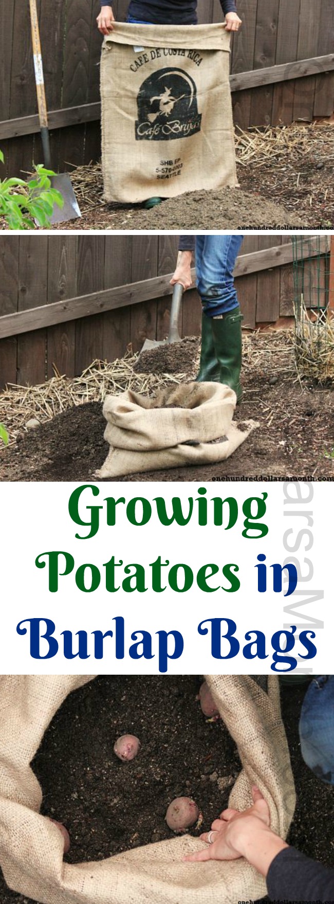 How to Plant Potatoes in a Burlap Bag