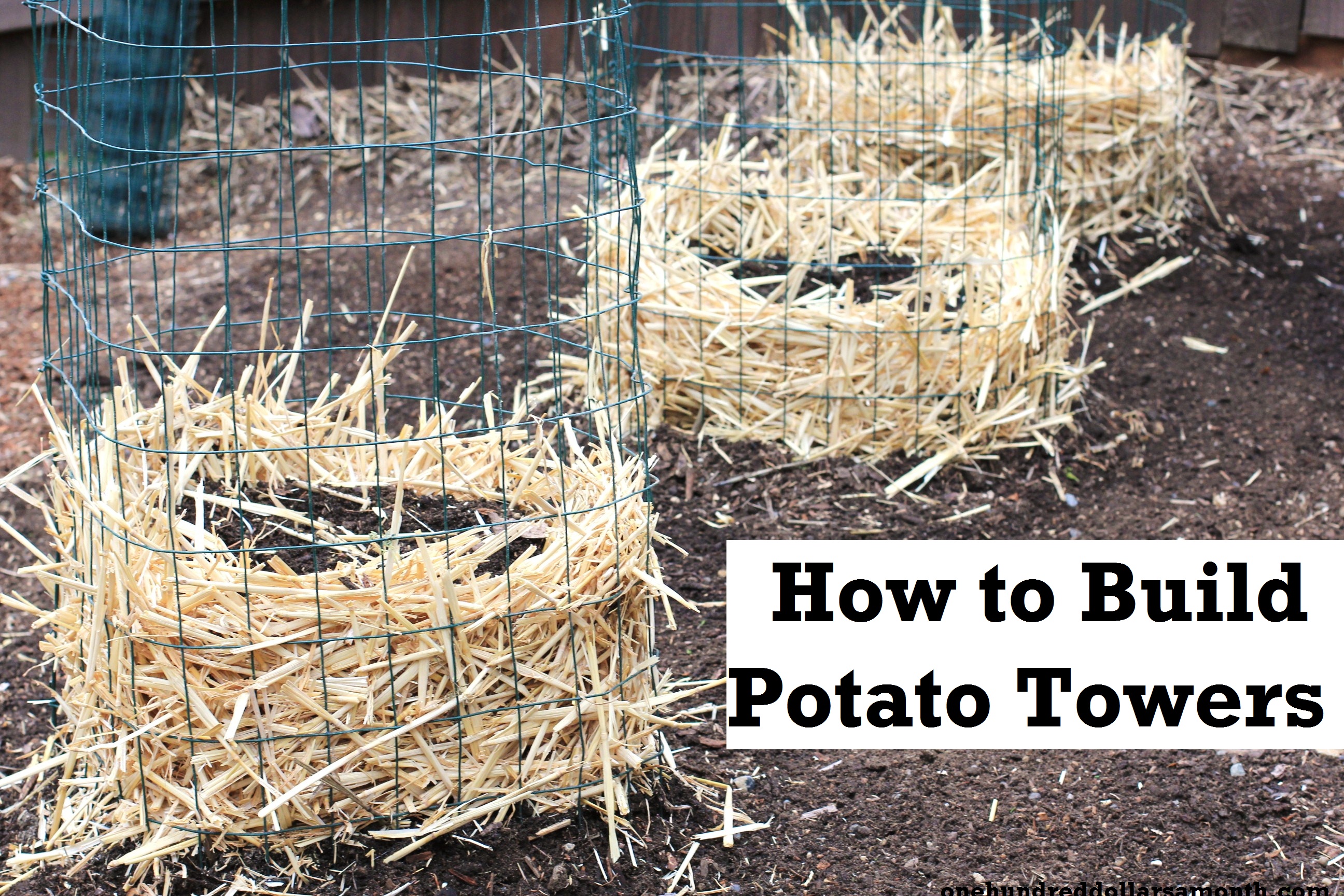 How to Build a Potato Tower