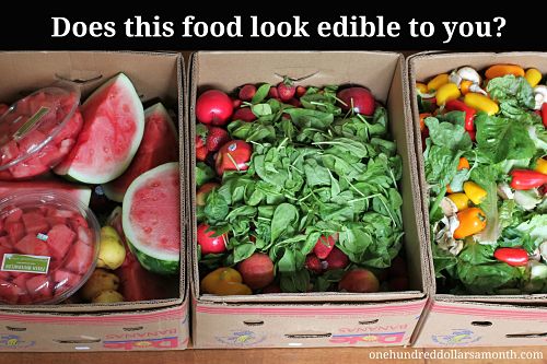 Free Food Week # 8 Reclaimed Food: Show and Tell