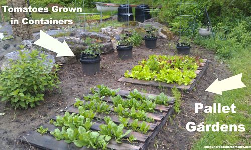 Gardening in Maine : Al and Anita’s Garden