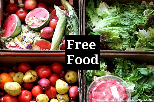 Free Food Week # 9 Reclaimed Food: Show and Tell