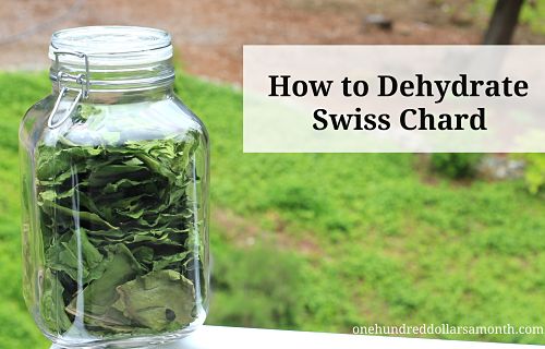 How to Dehydrate Swiss Chard