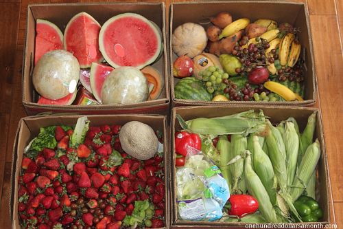 How to Get Free Food Week # 10 – Reclaimed Food Show and Tell