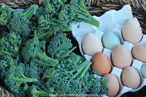 Sunday Brunch Recipe – Broccoli, Bacon and Cheddar Quiche