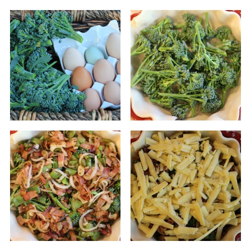 Broccoli, Bacon and Cheddar Quiche