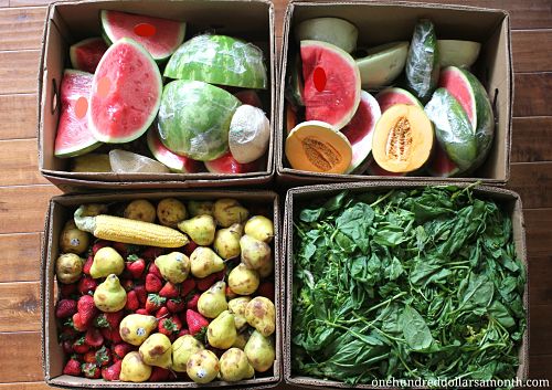 How to Get Free Food Week # 11 – Reclaimed Food Show and Tell