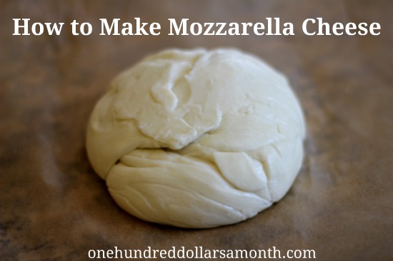 How to Make Homemade Mozzarella Cheese
