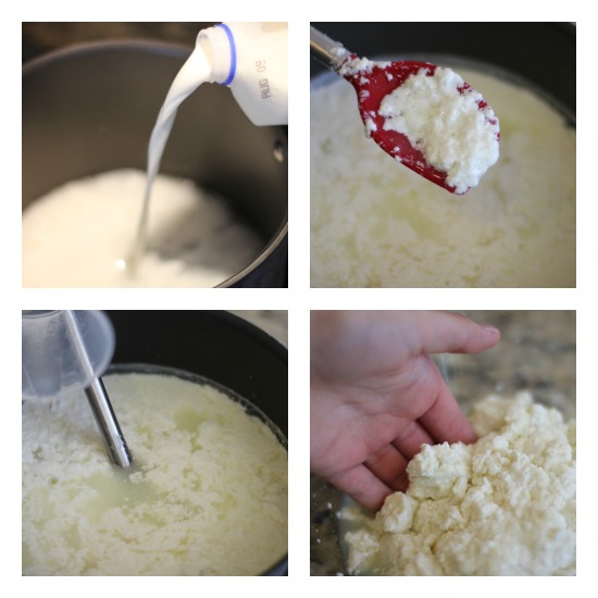 Recipe – How to Make Homemade Mozzarella Cheese