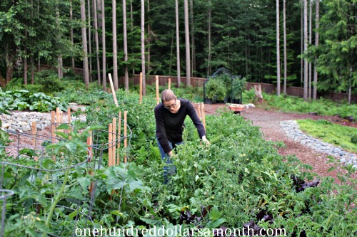 How to Grow Your Own Food – Weigh In Wednesday