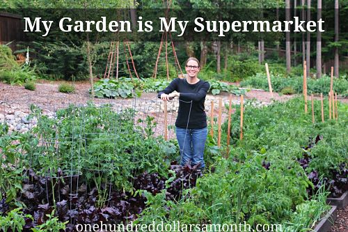 How to Grow Your Own Food – Weigh In Wednesday