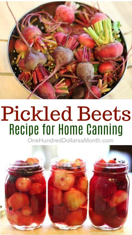 Recipe – How to Can Beets {Pickled Beets}