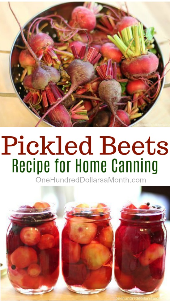 Pickled Beets Recipe