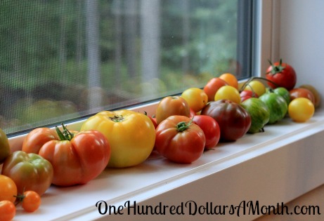 Mavis Garden Blog – The Heirloom Tomato Report