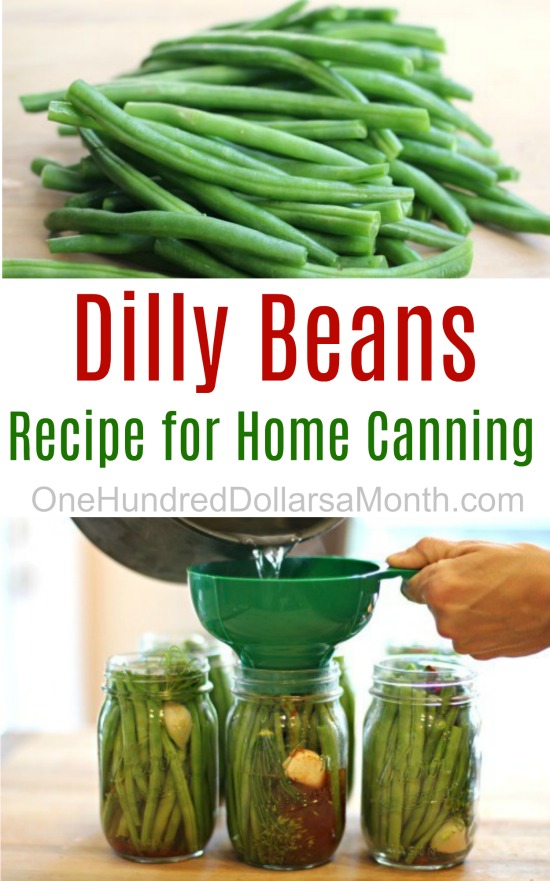 How to Can Dilly Beans