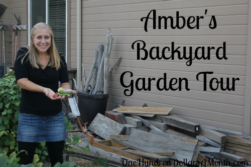 Amber’s Vegetable Garden Tour