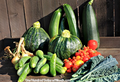 Mavis Garden Blog – Harvesting Heirloom Vegetables