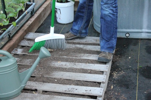 Mavis Garden Blog – Growing Lettuce in a Pallet Garden