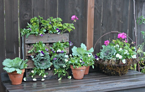 Mavis Garden Blog – Cleaning Up The Potting Bench