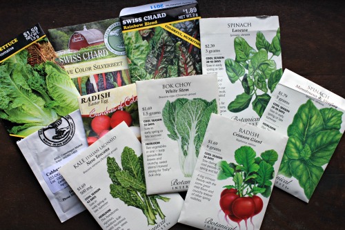 Mavis Garden Blog – What Seeds Should I Plant In My Fall Garden?