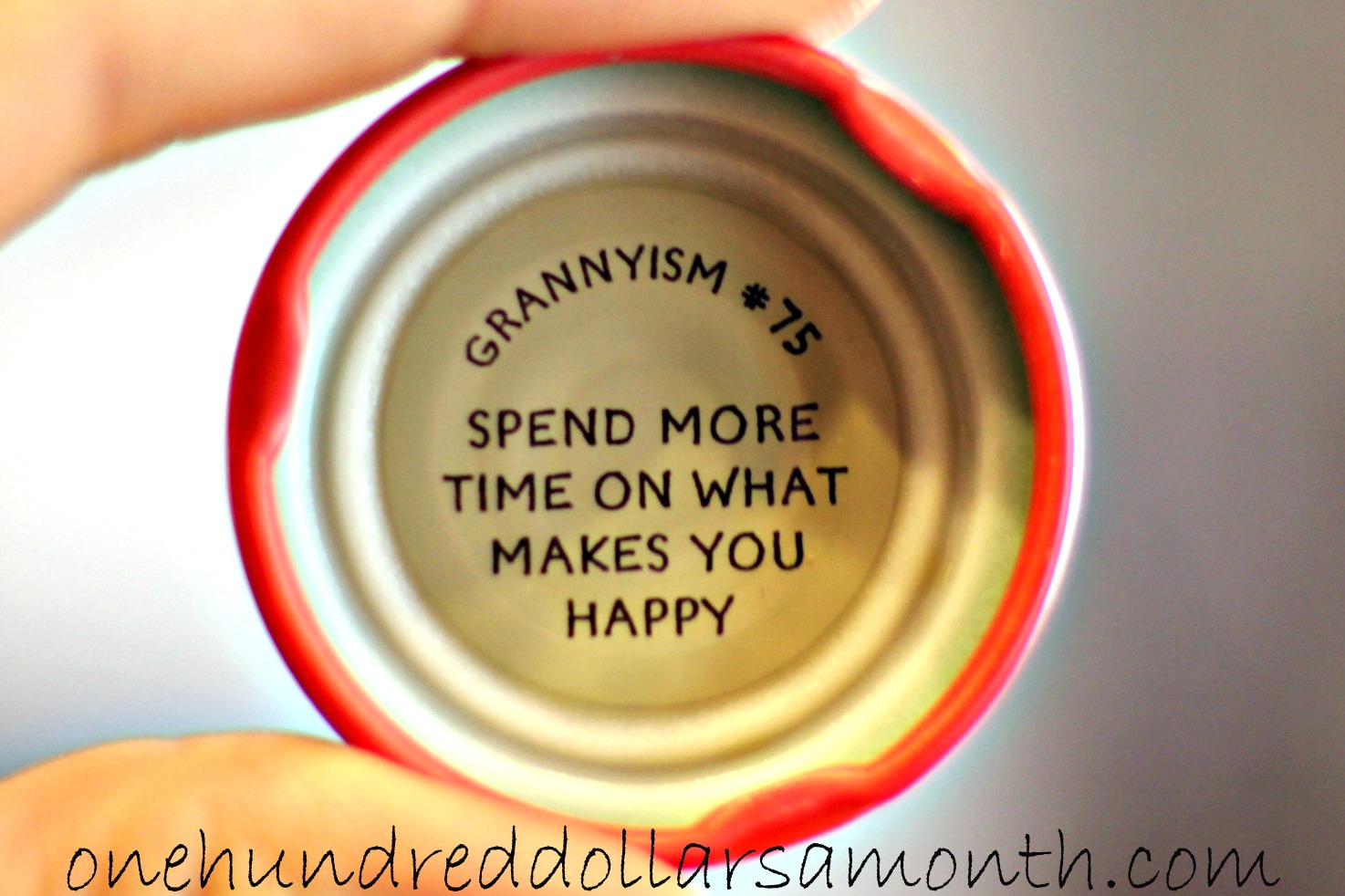 Mondays With Mavis – How to Feed Your Family for $100 a Month – 2