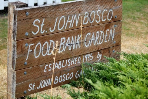 Garden Tour | St. John Bosco – Food Bank Garden Lakewood, Washington
