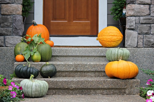 Mavis Garden Blog – Picking Heirloom Pumpkins