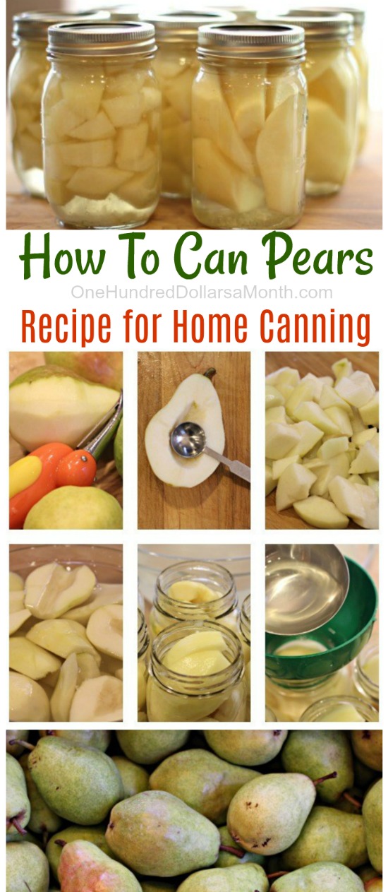 Canning 101 – How To Can Pears