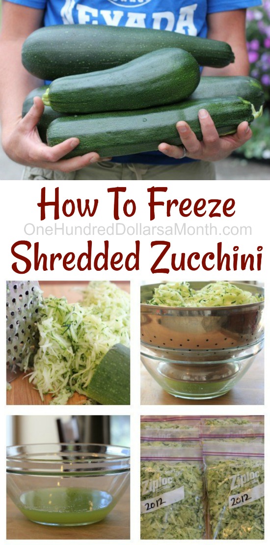 Mavis Garden Blog – How To Freeze Shredded Zucchini