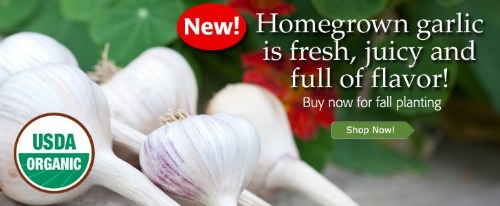 Botanical Interests Seed Company – Organic Garlic In Stock and Ready to Ship!