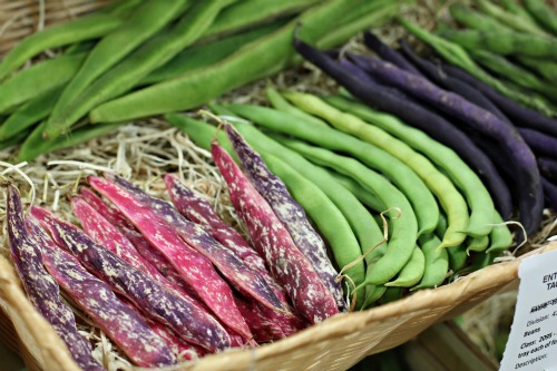 The Puyallup Fair – Best in Show Fruits and Vegetables