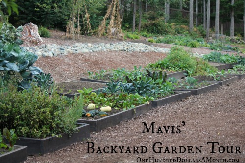 How To Grow Your Own Food – Mavis’ Vegetable Garden Tour