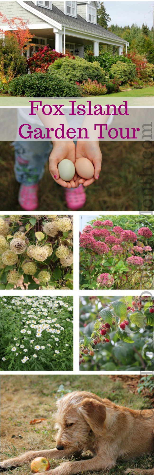 Vegetable and Flower Garden Tour – Sara From Fox Island