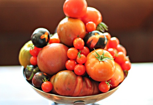 Mavis Garden Blog – Heirloom Tomatoes, Fresh Eggs and More Kale