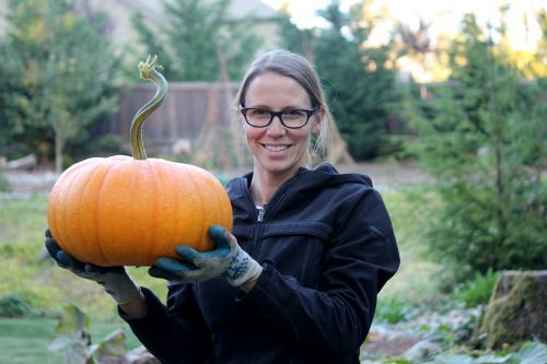 Grow Your Own Pumpkin Patch – Harvesting Pumpkins
