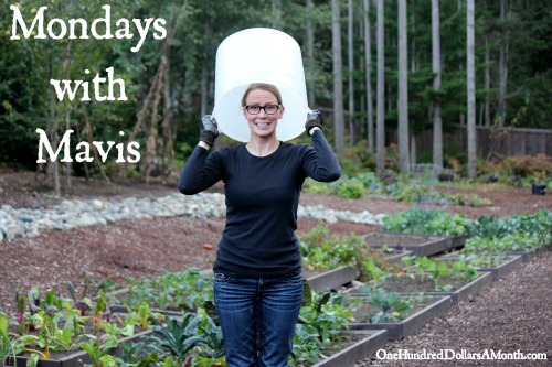 Mondays with Mavis – How to Feed Your Family for $100 a Month