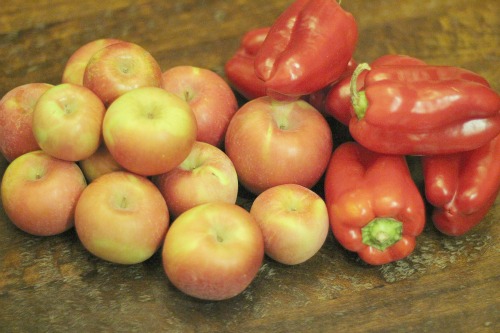 Mondays with Mavis – How to Feed Your Family for $100 a Month – 11