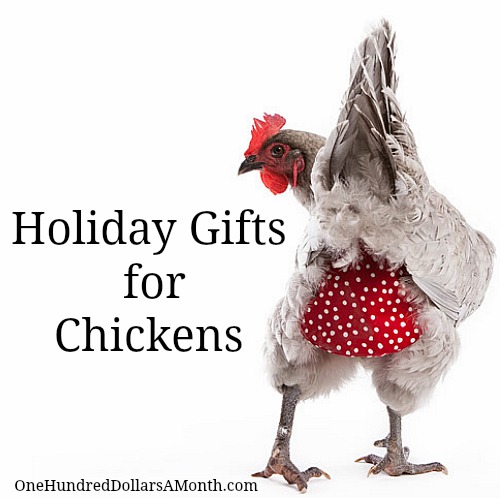Holiday Gifts for your Pet Chickens
