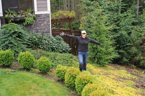 Mavis Garden Blog – Cleaning Up the Front Yard