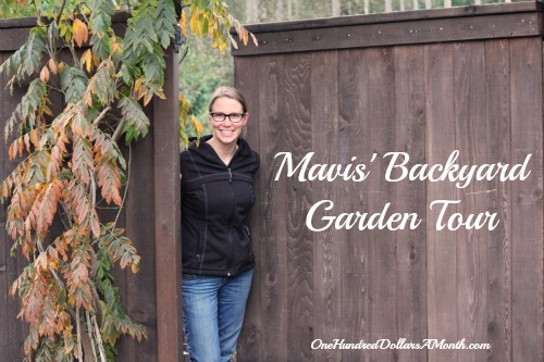 Mavis’ Backyard Garden Tour – November