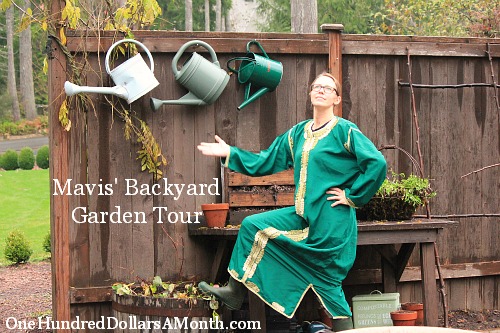 Mavis’ Backyard Garden Tour – The Best One Yet!